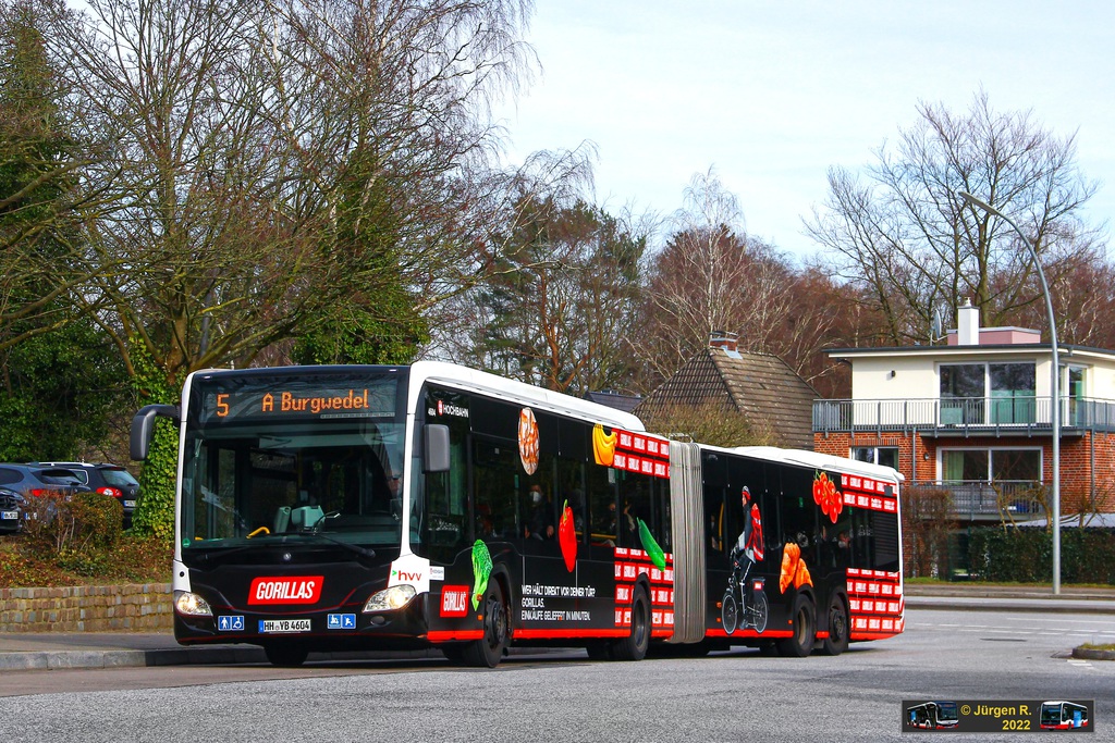 Ein Bild, das Text, Baum, drau�en, Stra�e enth�lt.

Automatisch generierte Beschreibung