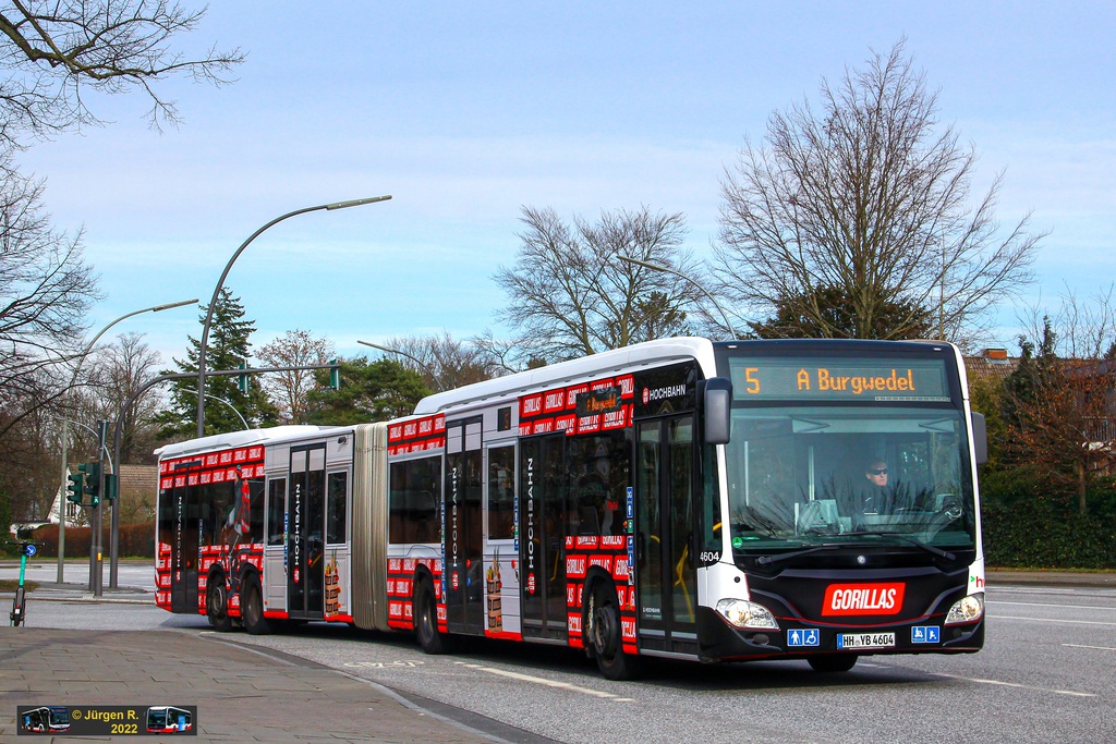 Ein Bild, das Text, Baum, Himmel, drau�en enth�lt.

Automatisch generierte Beschreibung