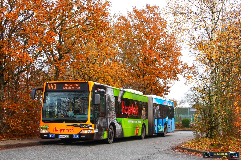 Ein Bild, das Text, Baum, Bus, drau�en enth�lt.

Automatisch generierte Beschreibung