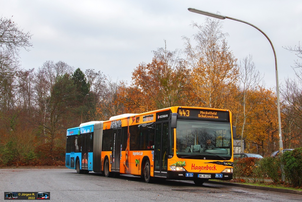 Ein Bild, das Baum, drau�en, Bus, Stra�e enth�lt.

Automatisch generierte Beschreibung