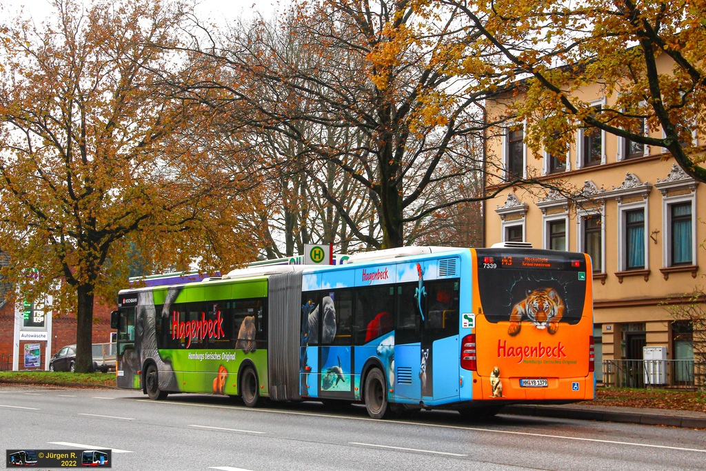 Ein Bild, das Text, Baum, drau�en, Stra�e enth�lt.

Automatisch generierte Beschreibung