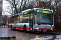 6412-31,HHA,JN