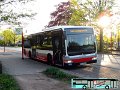 6901-11,HHA,CR