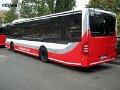 6919-13,HHA,CO
