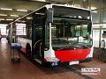7801-17,HHA,HT