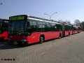 0214-12,VHH,AB