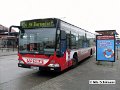 0406-32,VHH,NS