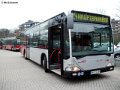0604-11,VHH,NS