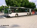 0619-12,VHH,AB