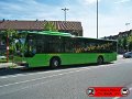 0801-27,VHH,TS