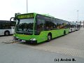 0801-29,VHH,AB