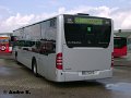 0804-19,VHH,AB
