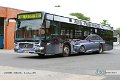 0808-62,VHH,CB