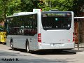 0815-13,VHH,AB