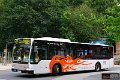 0820-17,VHH,TS