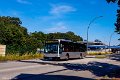 0902-42,VHH,MA