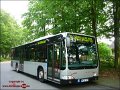 0910-11,VHH,TR