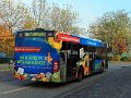 1002-29,VHH,SB