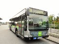 1019-21,VHH,NS