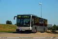1027-12,VHH,TS