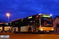 1031-15,VHH,TS