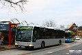 1031-16,VHH,TS