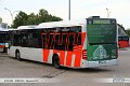1031-23,VHH,TS