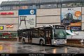 1562-11,VHH,TS