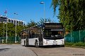 1634-11,VHH,TS