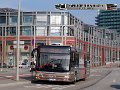 1636-22,VHH,AM