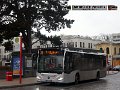 1702-17,VHH,AM