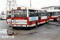 8548-34,VHH,SG