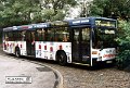 9337-31,VHH,LA
