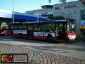 9703-31,VHH,TS