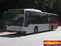 0651-12,PVG,CR