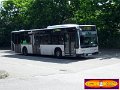 0750-11,PVG,CR