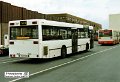 0524-19,PVG,RS