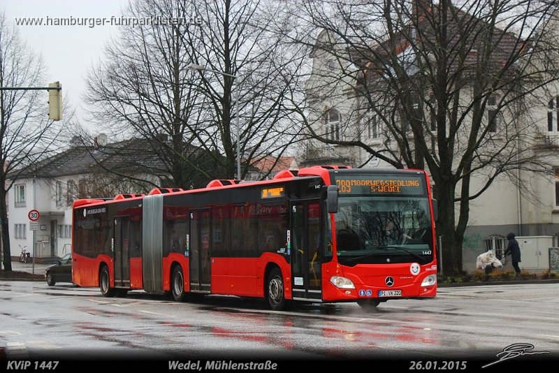 1447-11,KViP,TS.jpg