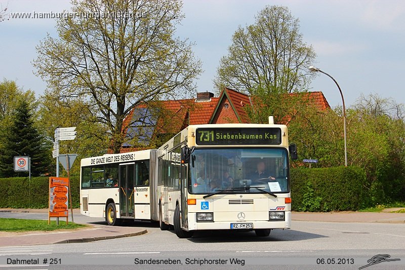 251-11,Dahmetal,TS.jpg