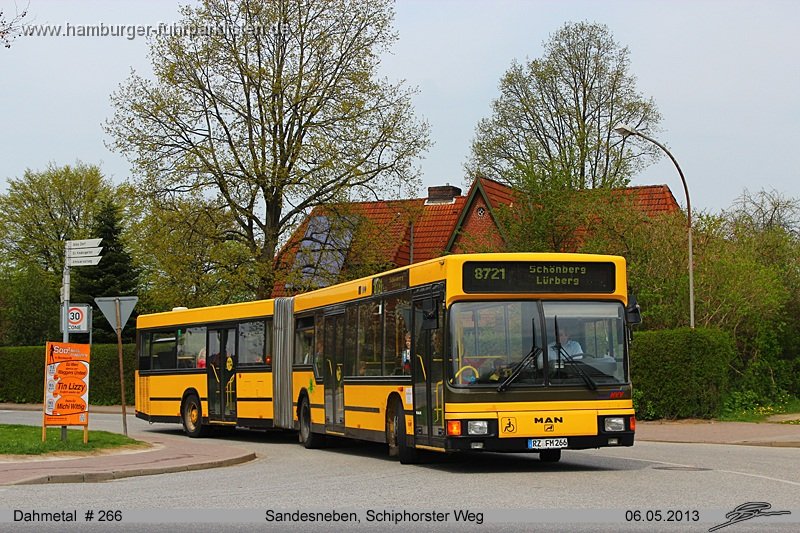 266-11,Dahmetal,TS.jpg