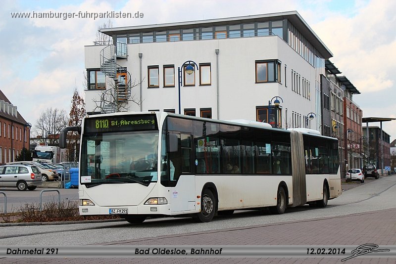 291 (2)-12,Dahmetal,TS.jpg